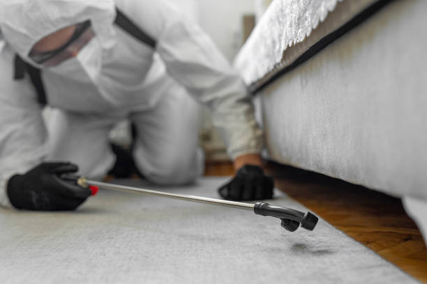 Professional Termite Control technician working in Radisson, NY